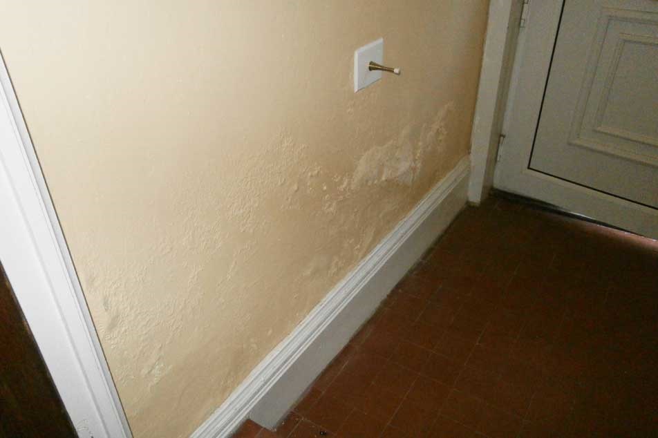 Rising damp treatment - salts on wall - Property Care Association